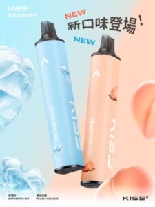KISS 6500口一次性電子煙，超高CP值，台灣現貨